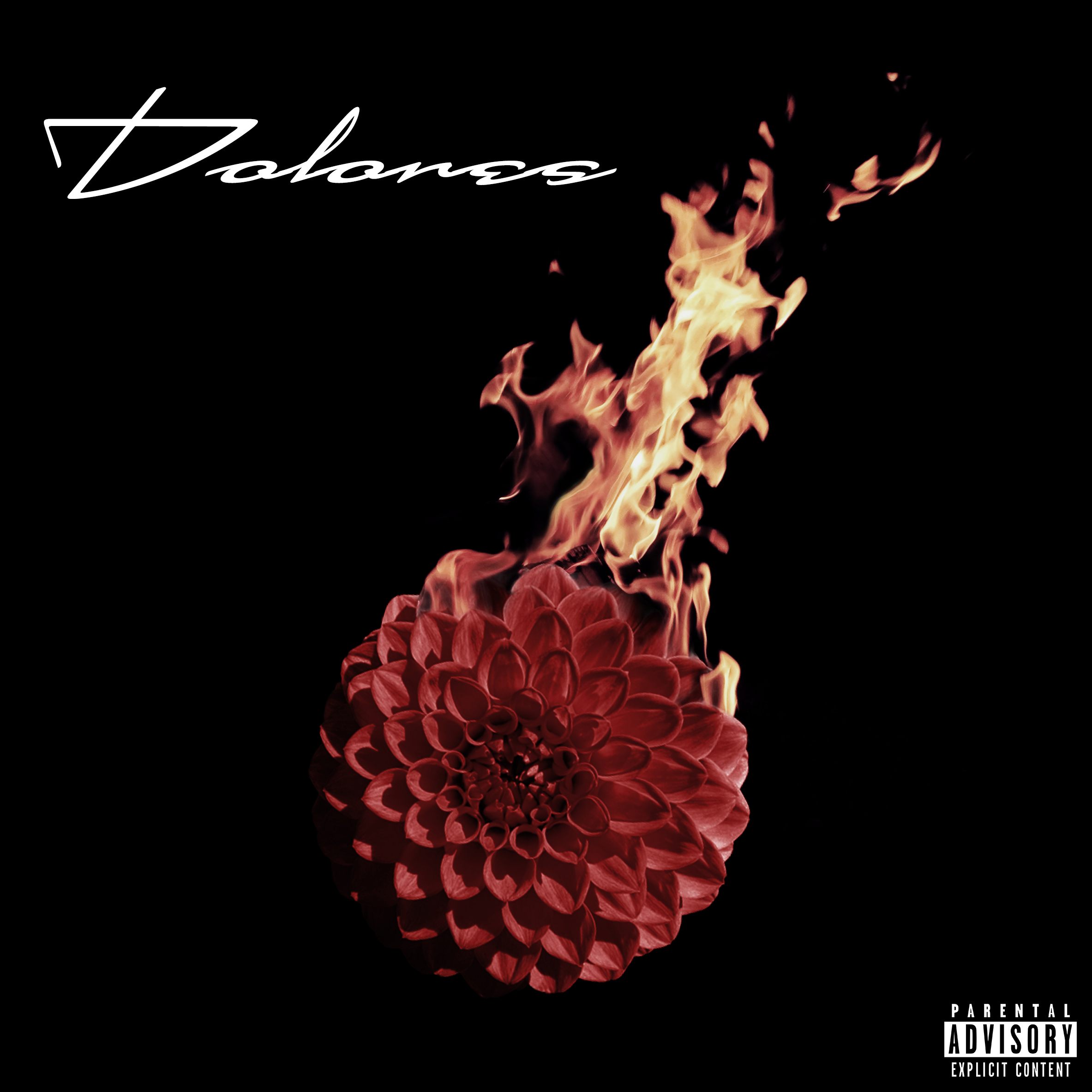 Red flower on fire in the style of an album cover. Text reads: 'Dolores'.
